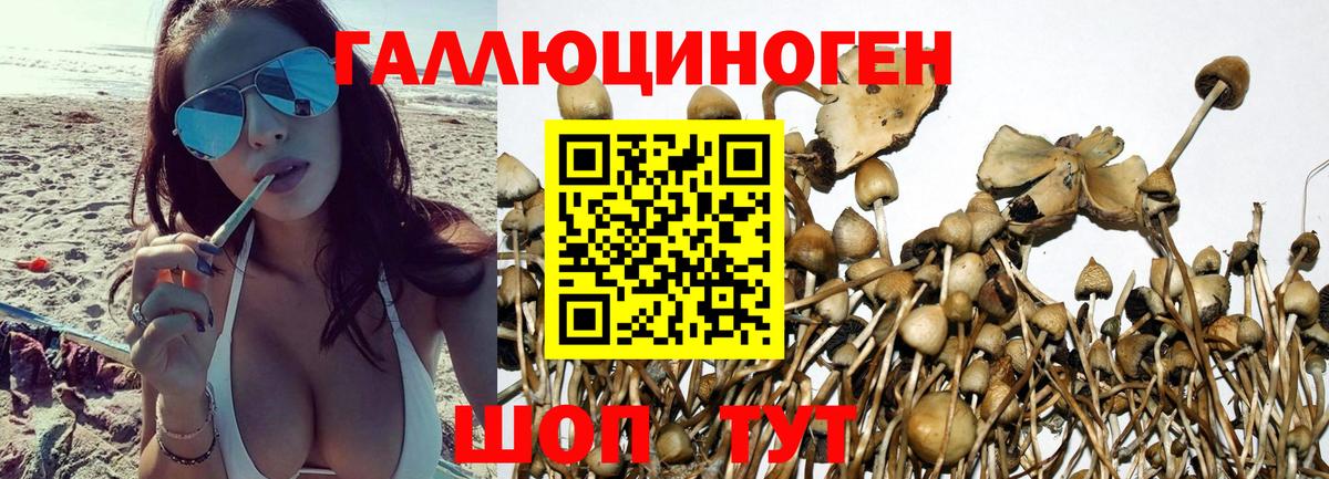 Галлюциногенные грибы мицелий  Вход с VPN  Серпухов 