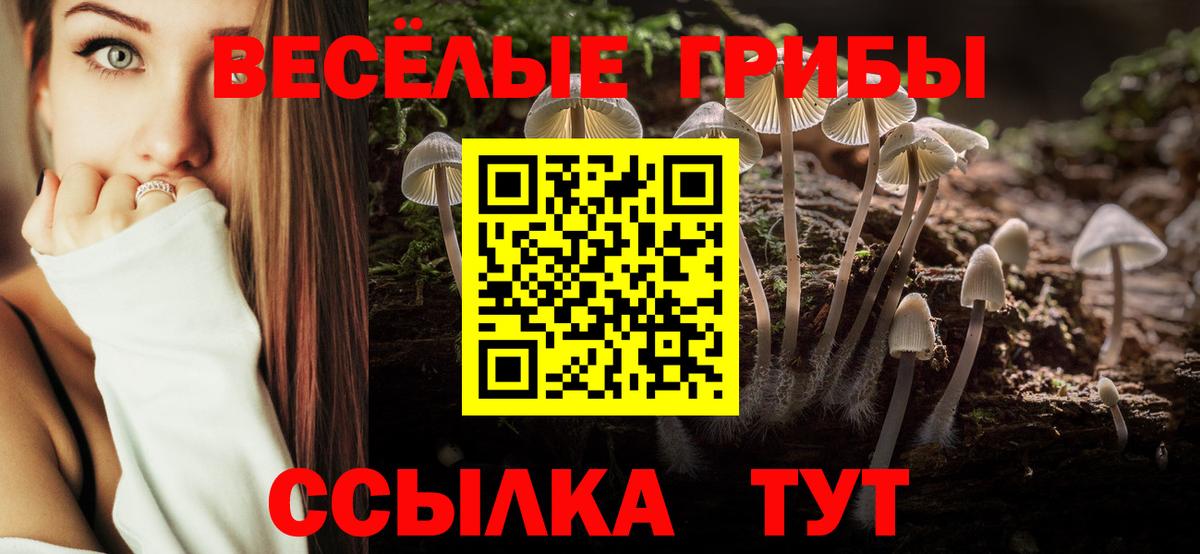 Галлюциногенные грибы мухоморы Серпухов